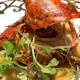 Dinner Course 「Gerano」