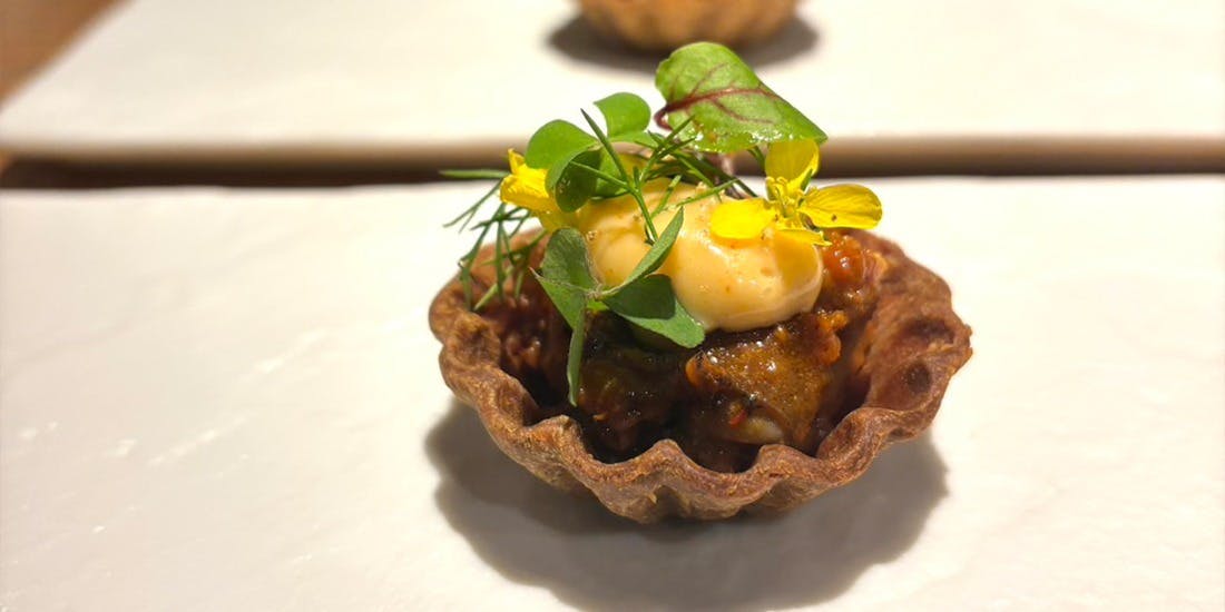 Dinner Course「Violetta」
