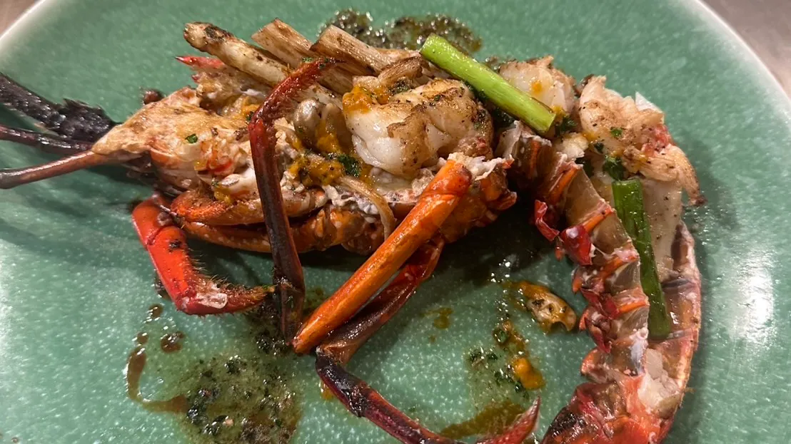【高级伊势龙虾套餐】奢华的全7道菜套餐，包括伊势龙虾和黑毛和牛※2人起