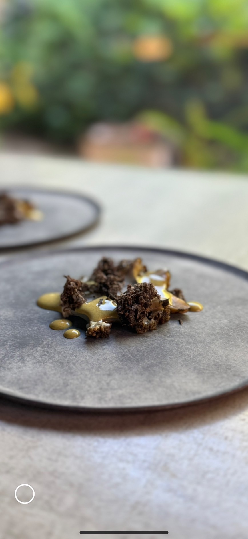 Dining Experience (Wine Pairing)