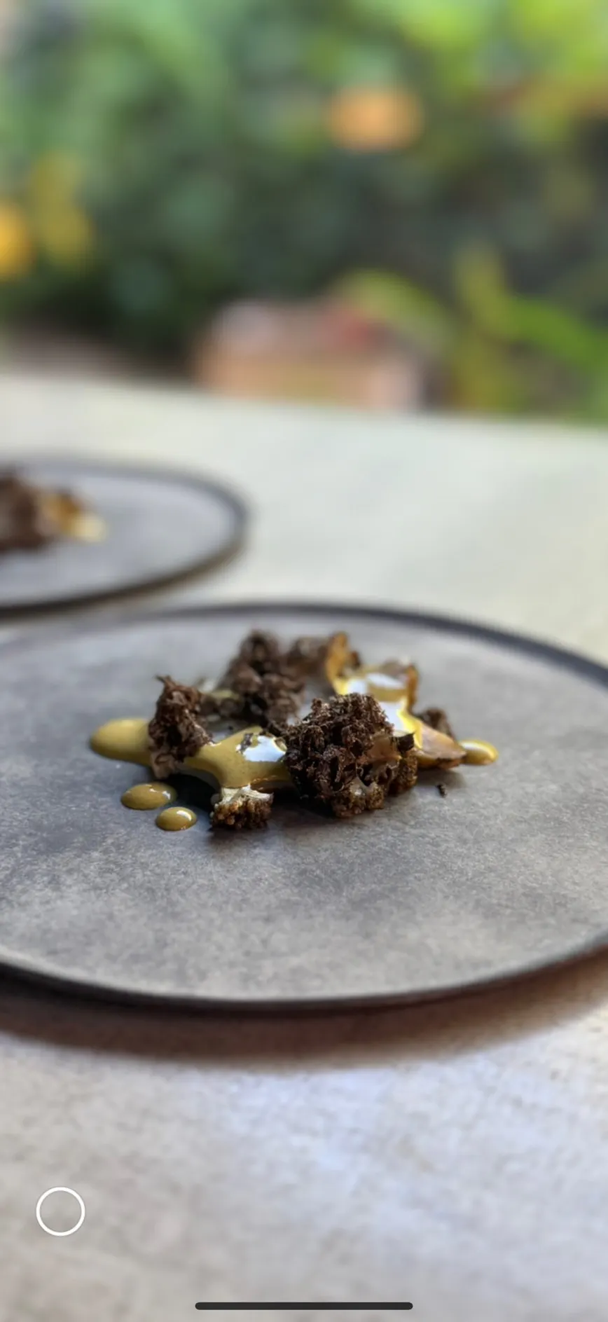 Dining Experience (Wine Pairing)