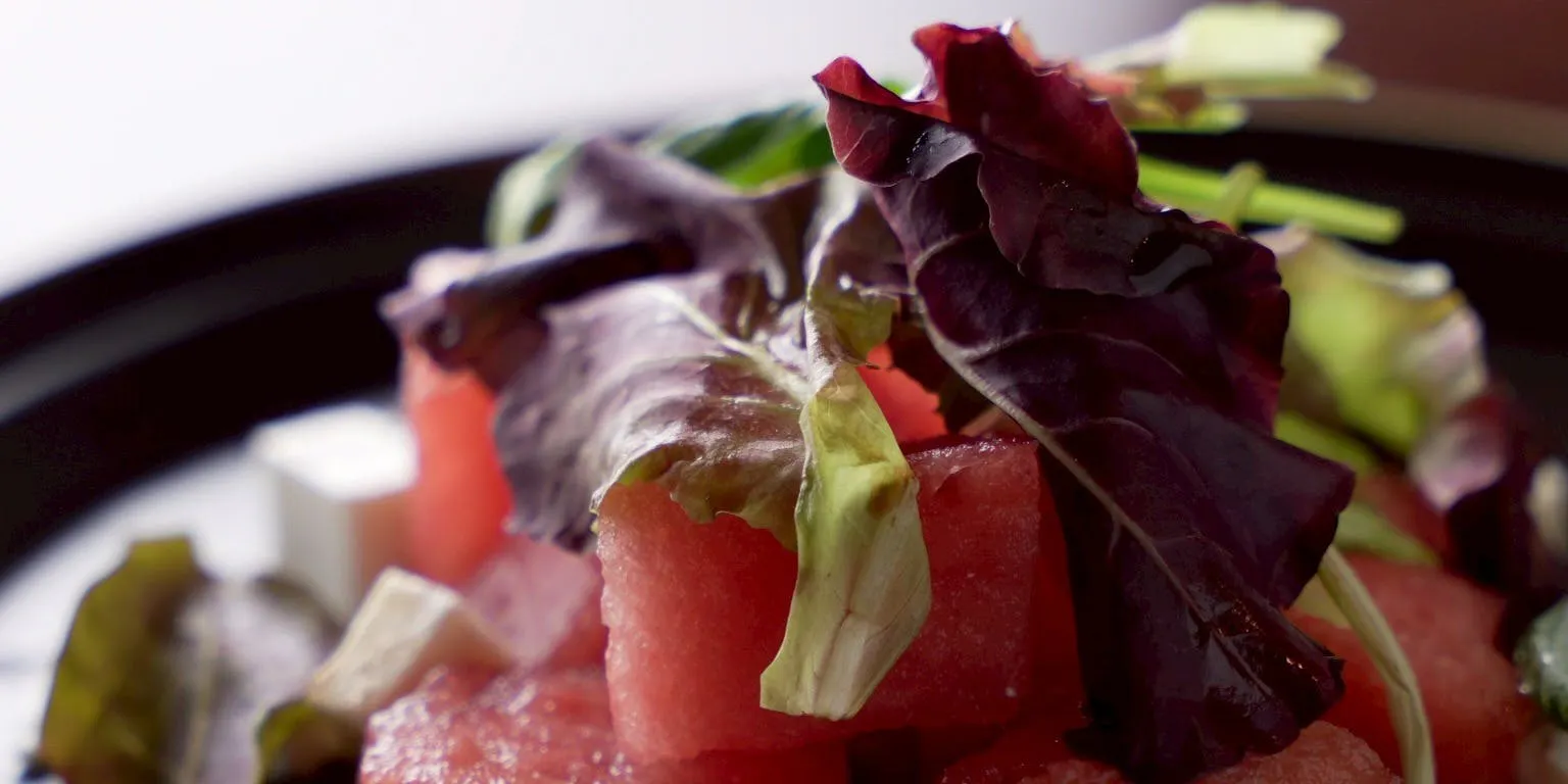 Casual Course with All-You-Can-Drink: Includes 3 Items - Salad, Meat Dish, and Pasta