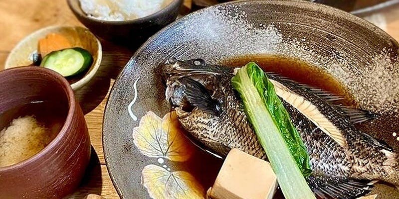 【おまかせコース】前菜、お造り、季節の揚げ物など
