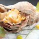 三陸魚介と旬の味わい【酒菜コース】全5品