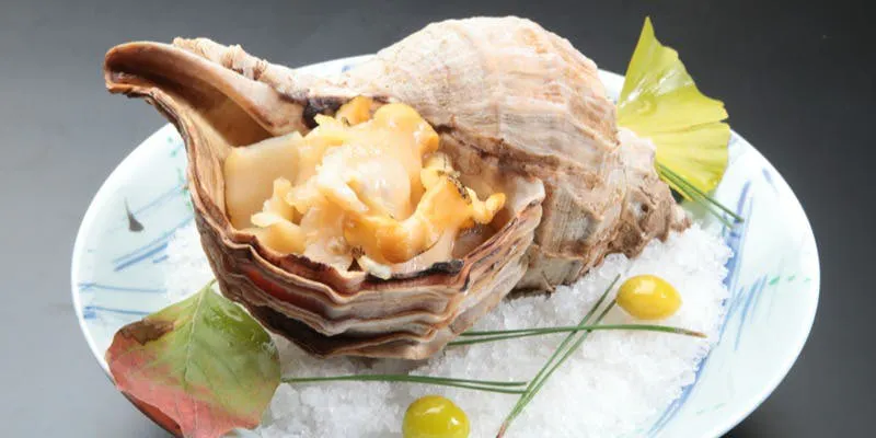 Sanriku Seafood and Seasonal Flavors [Sakesai Course], Total 5 Dishes