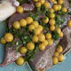 Whole Softshell Turtle Course