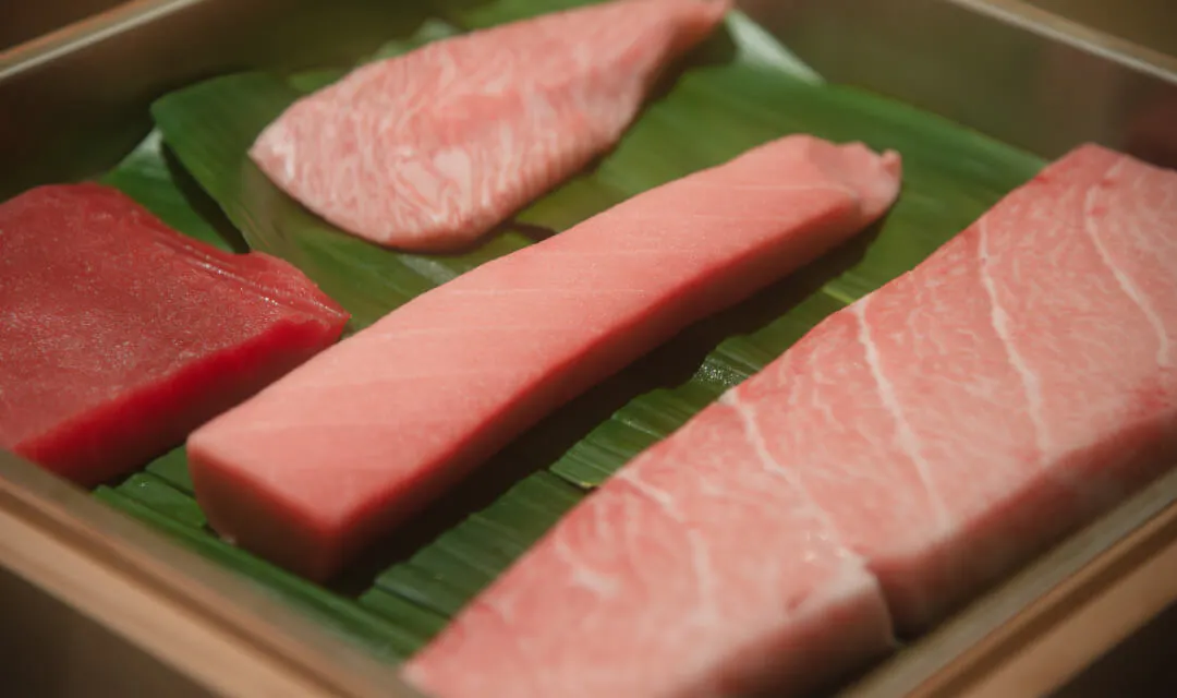 鮨 魚菜 魚魚　sushi gyosai toto