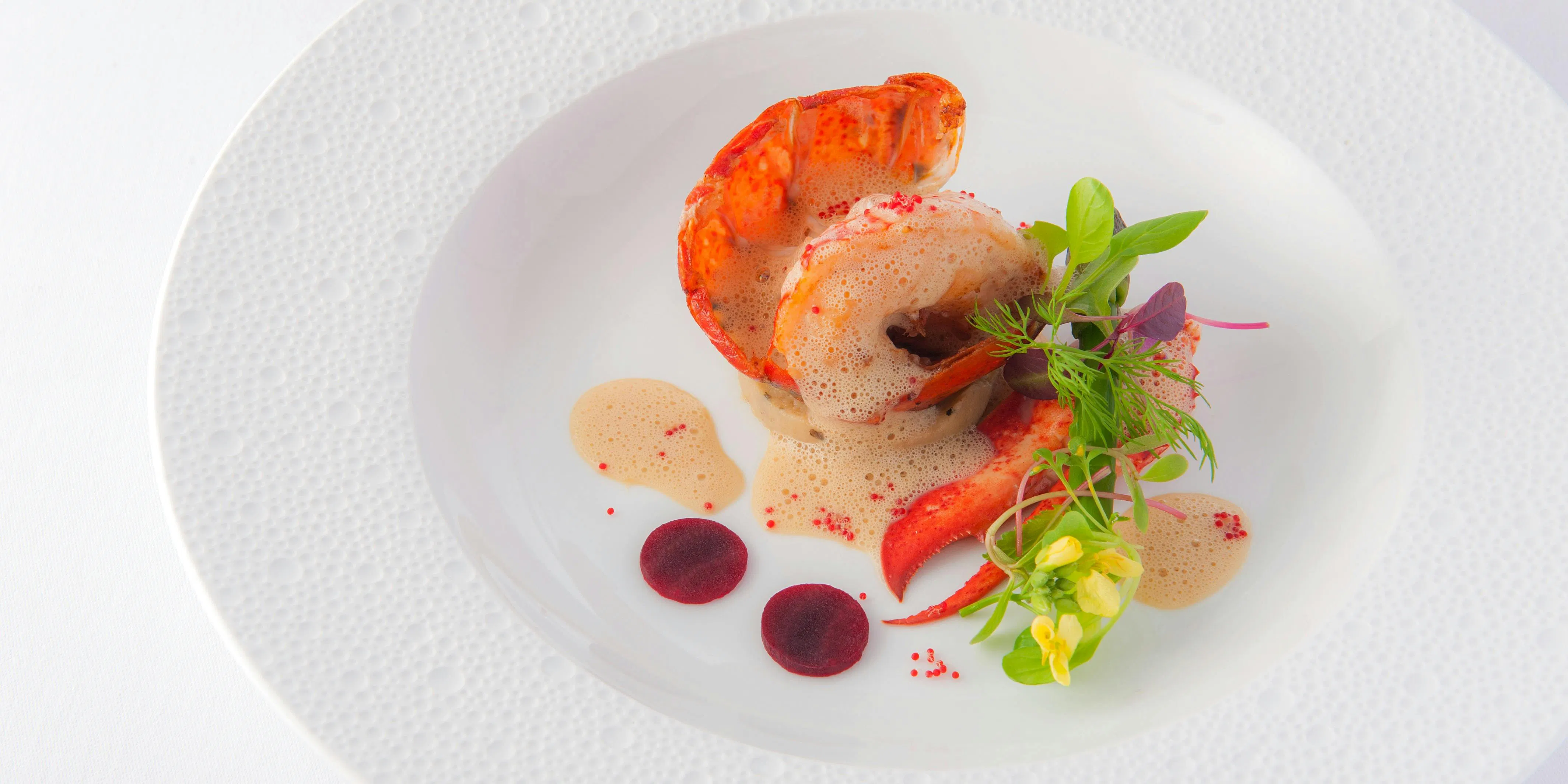 【Degustation】Special Chef’s Choice Course with approximately 11 dishes. *Please read the important notes before making a reservation.