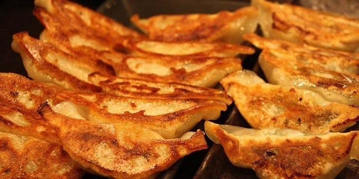 【パクチー三昧コース】大人気のパクチーメニュー7種類の他に、定番の焼き餃子など 全8品