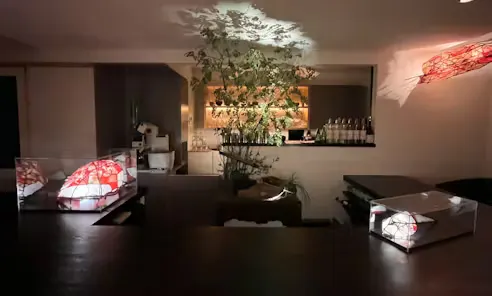 ジャパニーズ サロン 雫