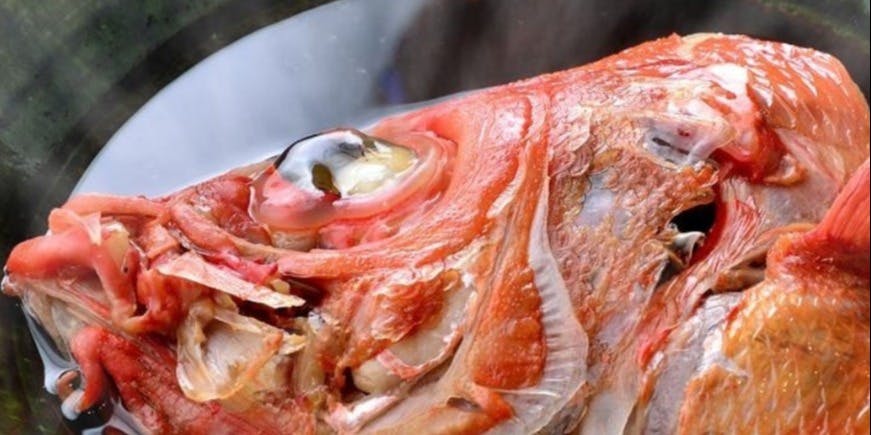 【風雅（ふうが）套餐】附鯛魚飯的超豪華方案