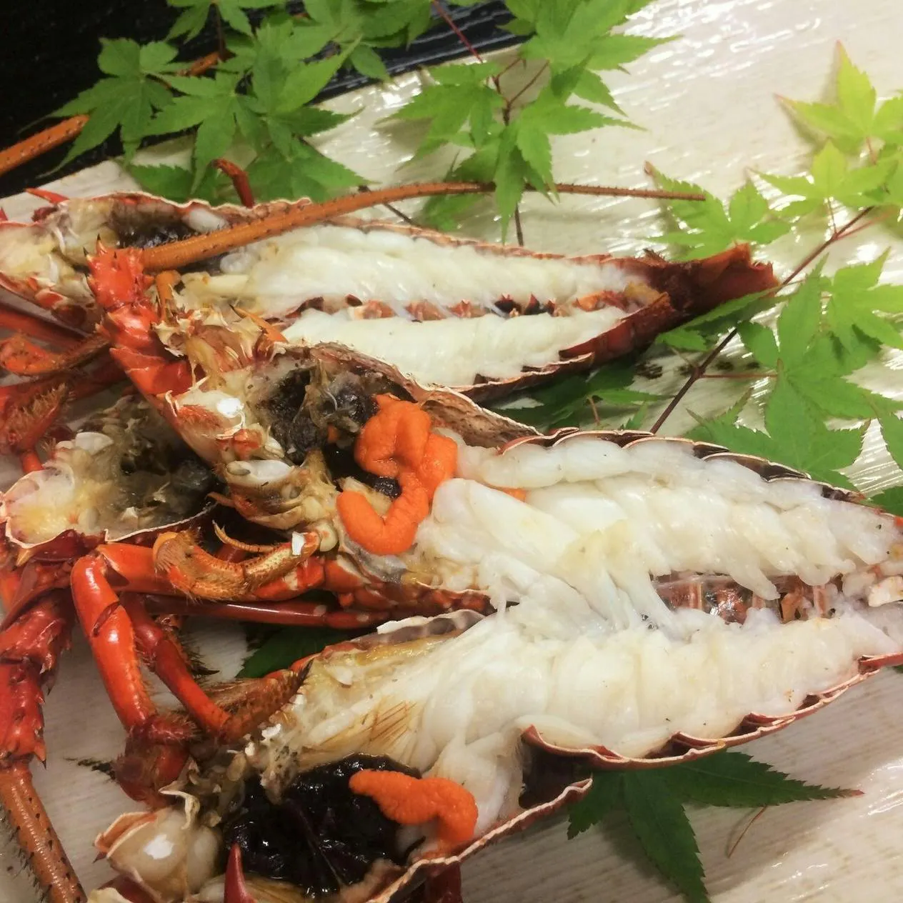 【秋のおまかせ鮨割烹】Special 伊勢海老、松茸、特選雲丹、地魚握りなど