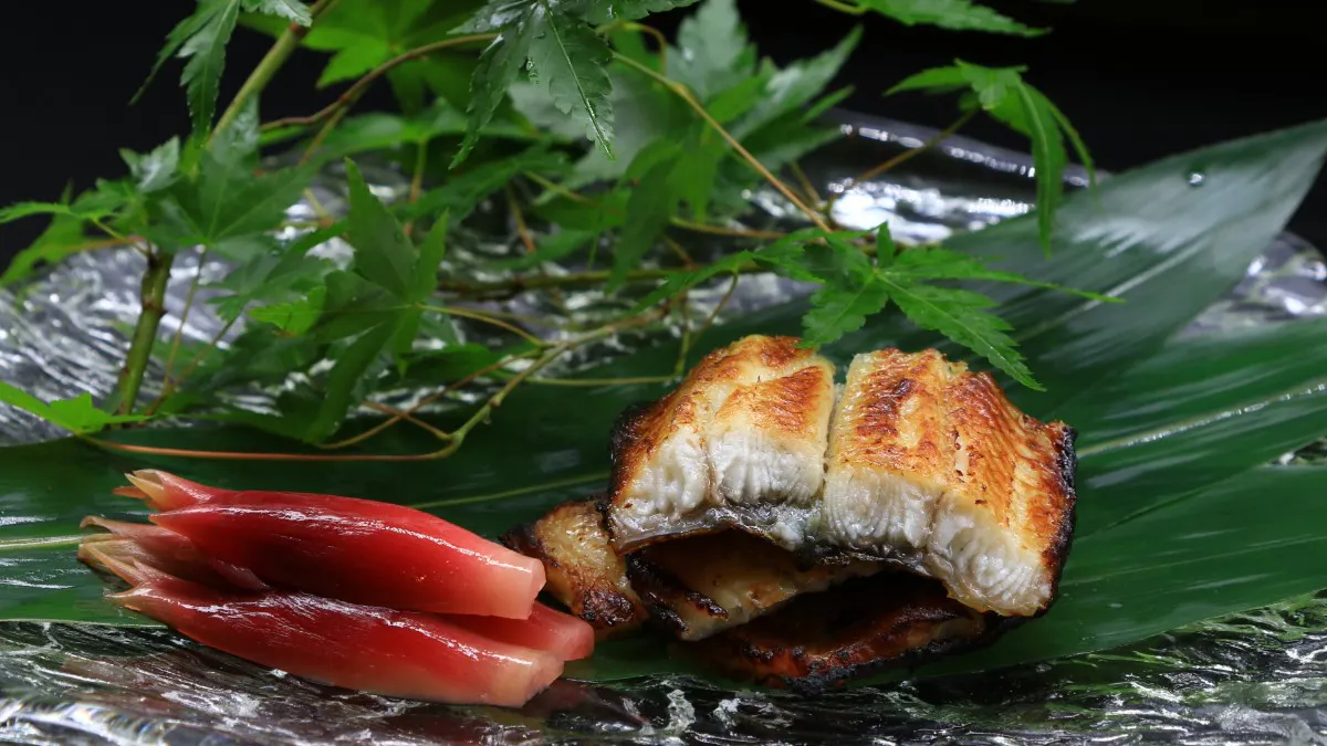 國產鰻魚西京燒御膳