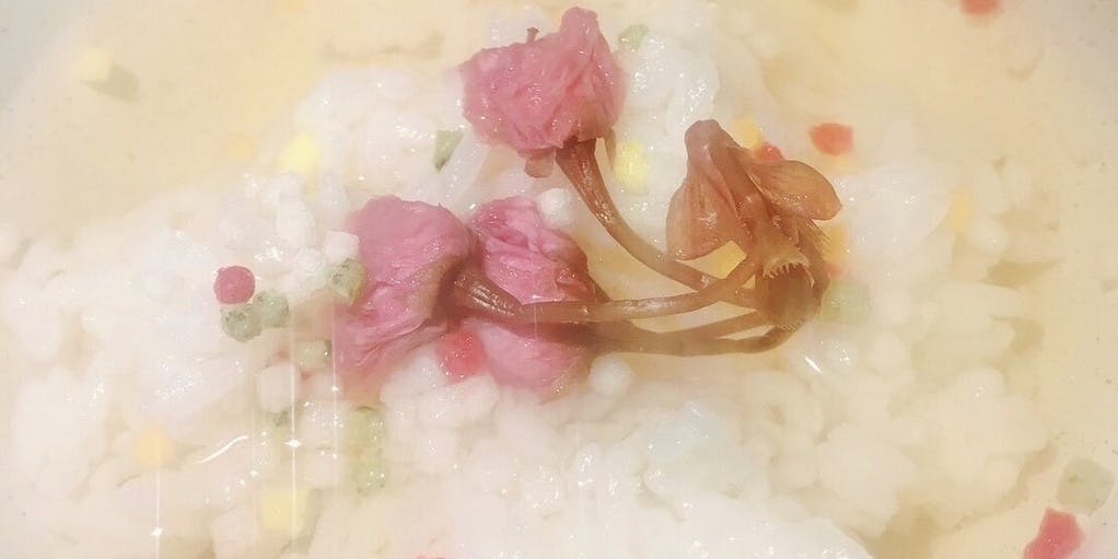 櫻花茶泡飯套餐