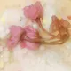 桜茶漬けコース