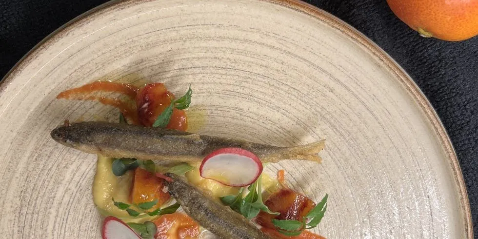 speciale Dinner Course