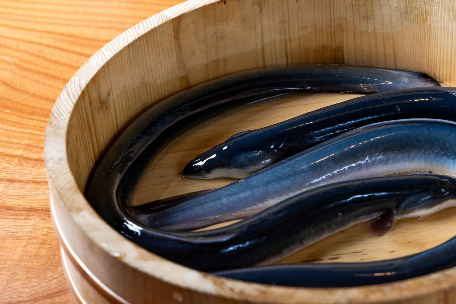 炭燒鰻魚 富士 榮HAERA店
