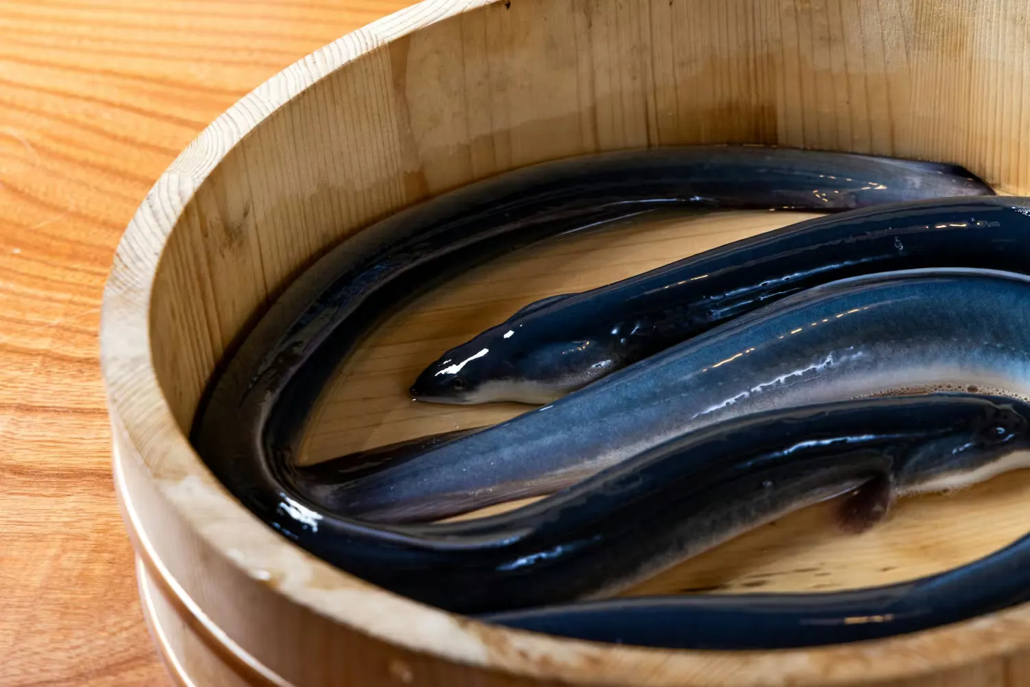 Sumiyaki Unafuj　Yodoyabasi 