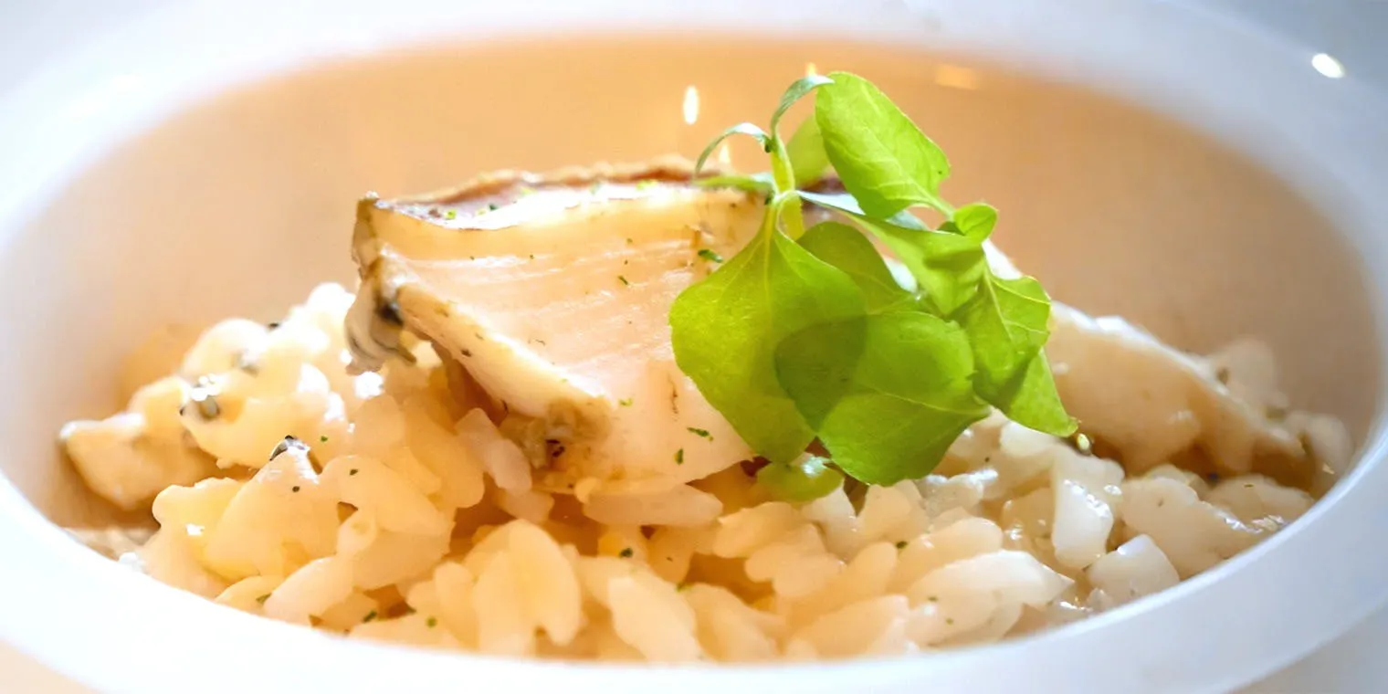 slow food restaurant 5+