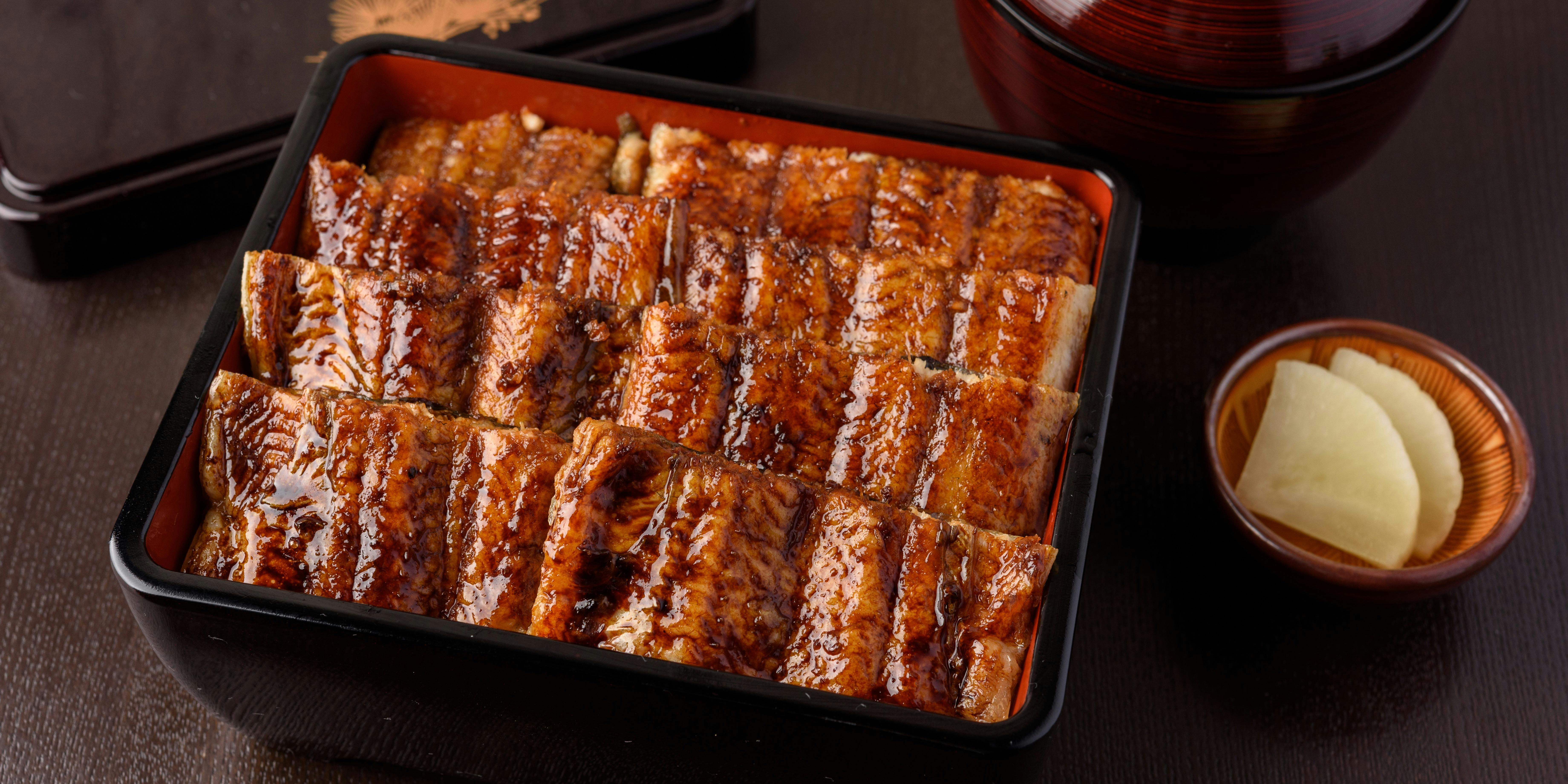 Grilled Eel over Rice