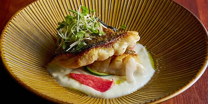 【栞 SIORIコース】月替わりメニュー全10品