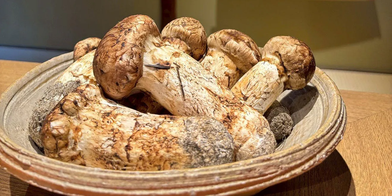 Special Matsutake Course