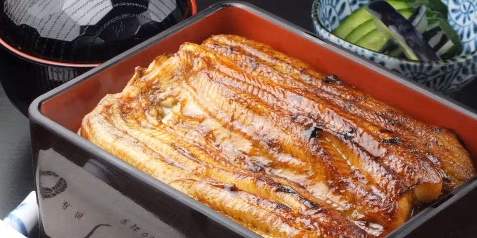 【鰻満喫コース】鰻の酢の物、うなぎ肝焼き、天婦羅やうな重など全9品