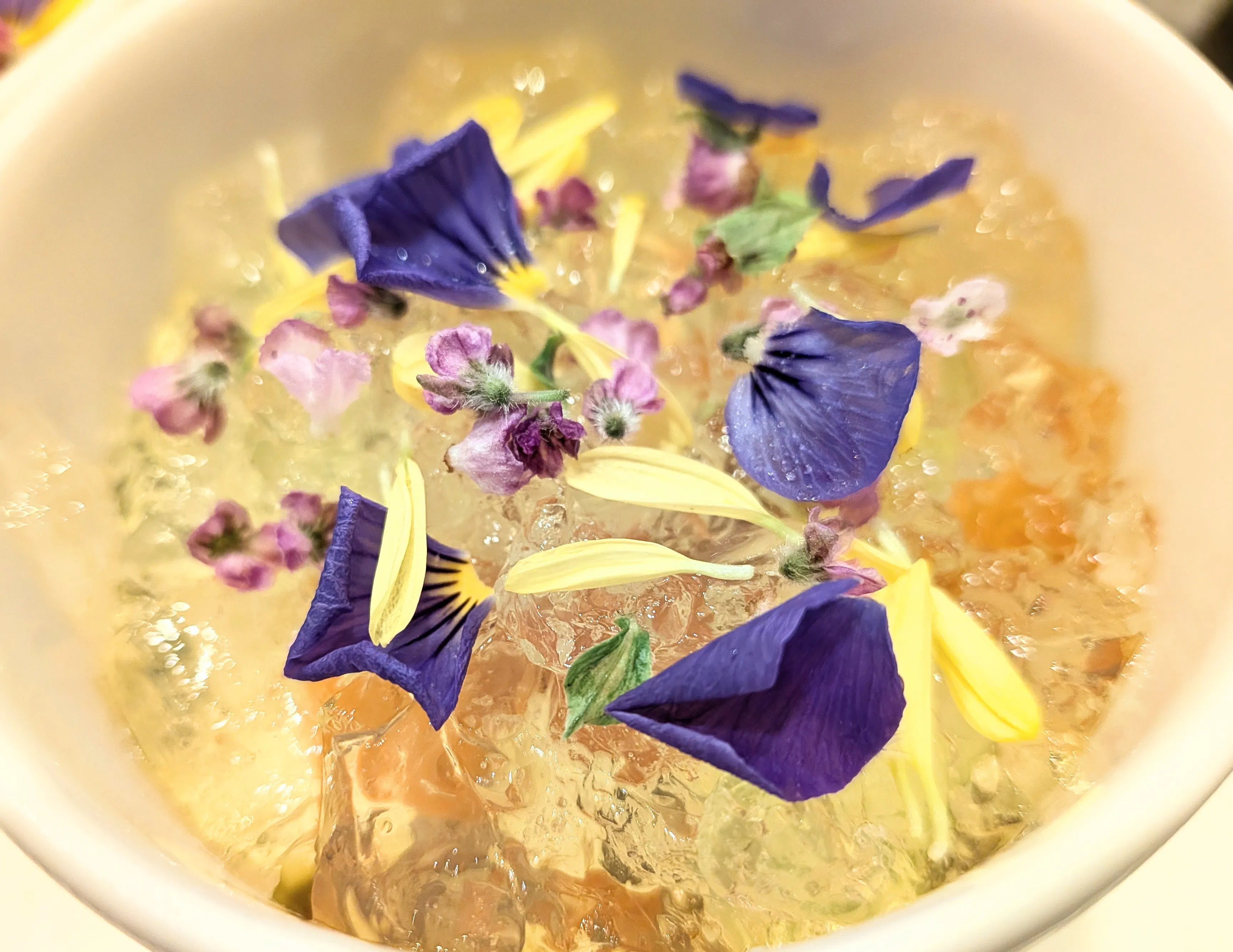 Chef’s Choice Seafood Lunch Short Course 9/1〜