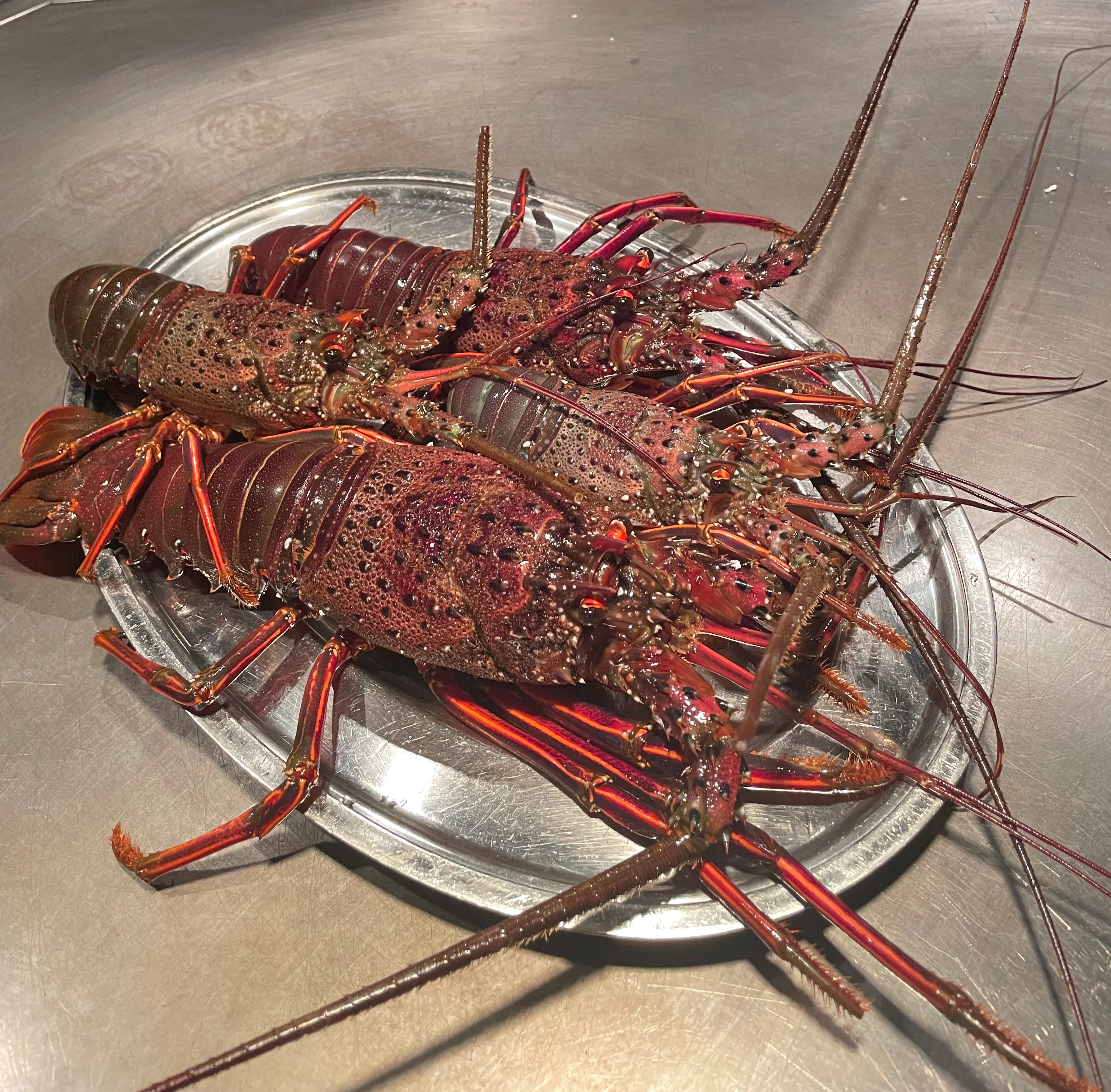 【海鲜晚餐:B套餐】本套餐仅包含海鲜