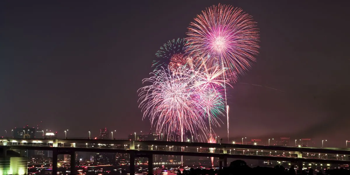【東京湾大華火祭】テラスで楽しむ花火鑑賞コース
