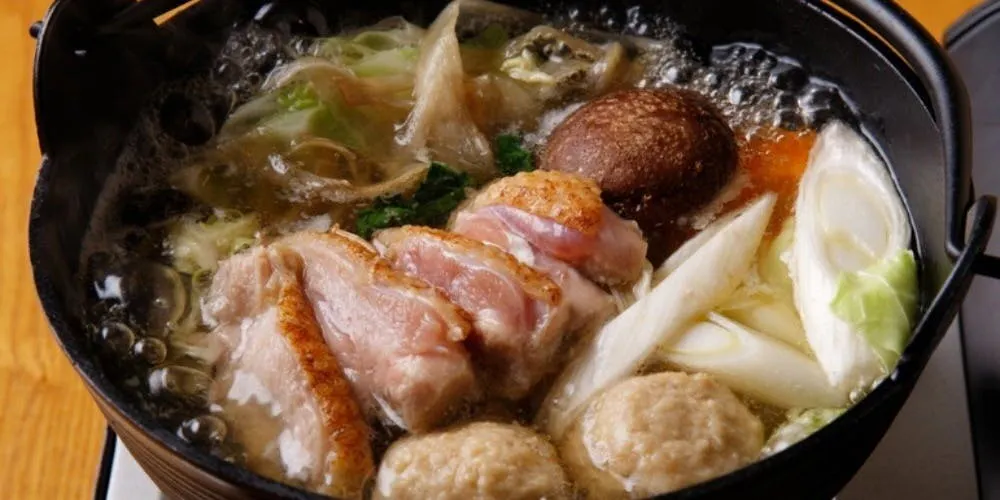 【烤雞肉串兩種與特製水炊鍋等共9道菜】