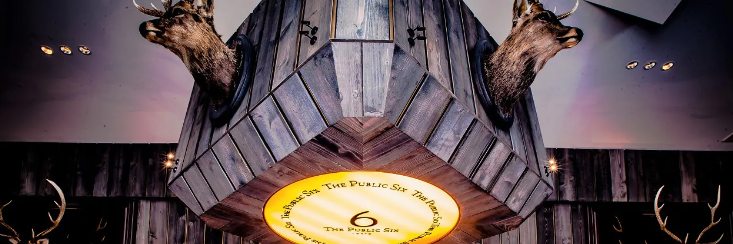 THE PUBLIC SIX